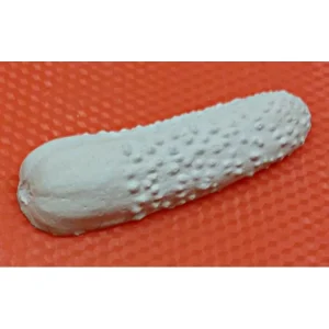 Czech Beads Exclusive Moule 1pc Concombre De Légumes De La Nourriture En Plastique Fabrication De Savon De Cire Chocolat Gypse F 6