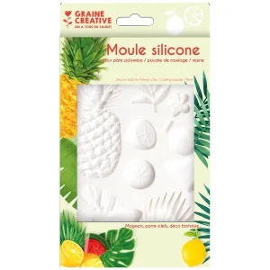 Graine Créative Moule Silicone – Agrumes – 20 X 13 Cm 12