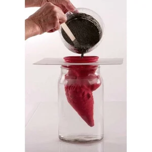 Rayher Kit Moulage Porte-Moule En Plastique Rigide Lavable, 24x21cm, Découpe ø 8cm, Réutilisable Pour Béton Créatif 12