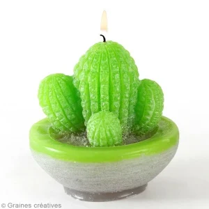 Graine Créative Moule Bougie Moule Latex Spécial Bougie – Cactus – 7,5 X 9 Cm 6
