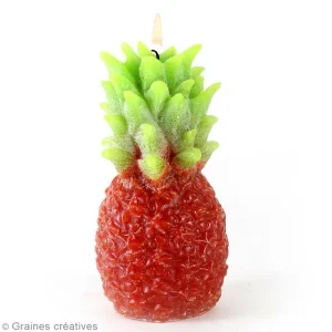 Graine Créative Moule Bougie Moule Latex Spécial Bougie – Ananas – 11 X 5 Cm 6