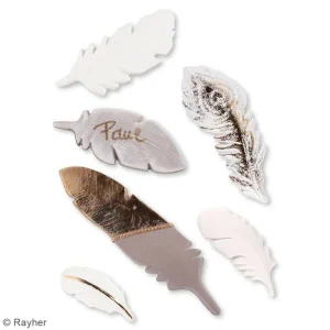 Rayher Plaque Avec Moules Multi-usages – Plume – 6 Formes 15