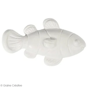 Graine Créative Moule Savon Moule Thermoformé Poissons Et Coquillages – 6 Pcs 12