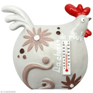 DTM Moule Plastique Poule Et Thermomètre à Décorer 8
