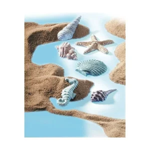 Czech Beads Exclusive FIMO Moule En Silicone – Coquilles De Mer, De L’Argile De L’Artisanat, De L’Argile Des Arrangements, 6